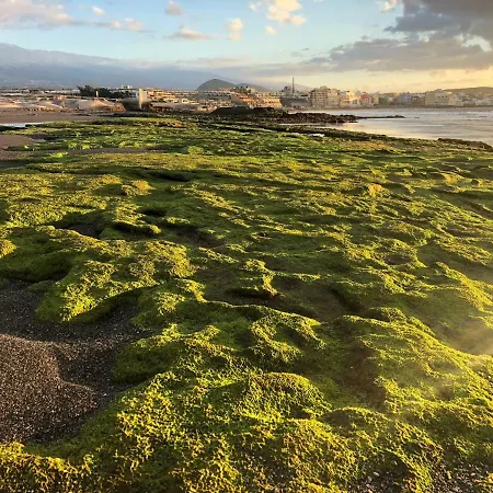 La Perla Lejlighed El Médano